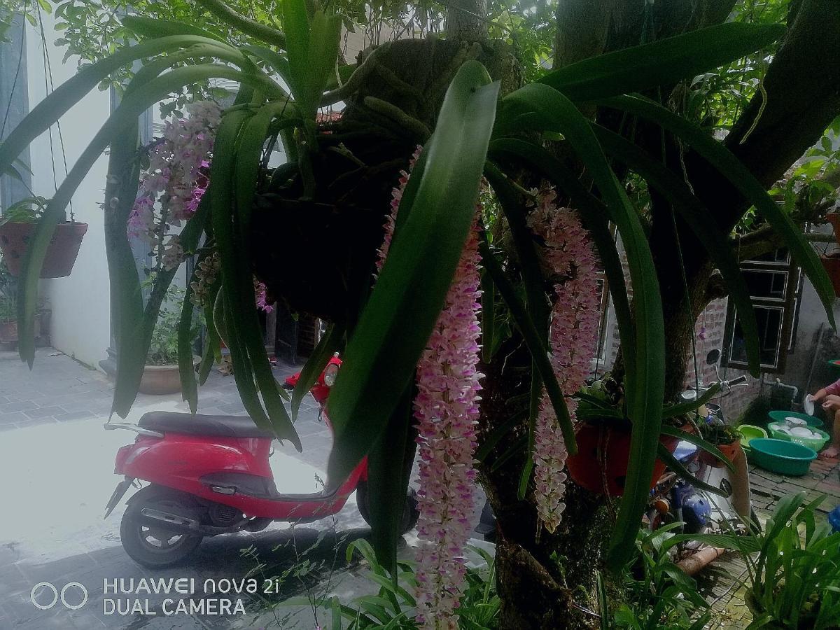 Tamcoc Mr. Cau Homestay Ninh Bình Exteriör bild