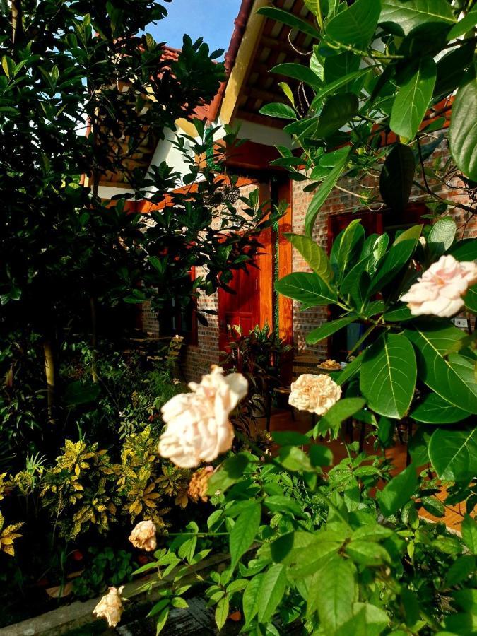 Tamcoc Mr. Cau Homestay Ninh Bình Exteriör bild