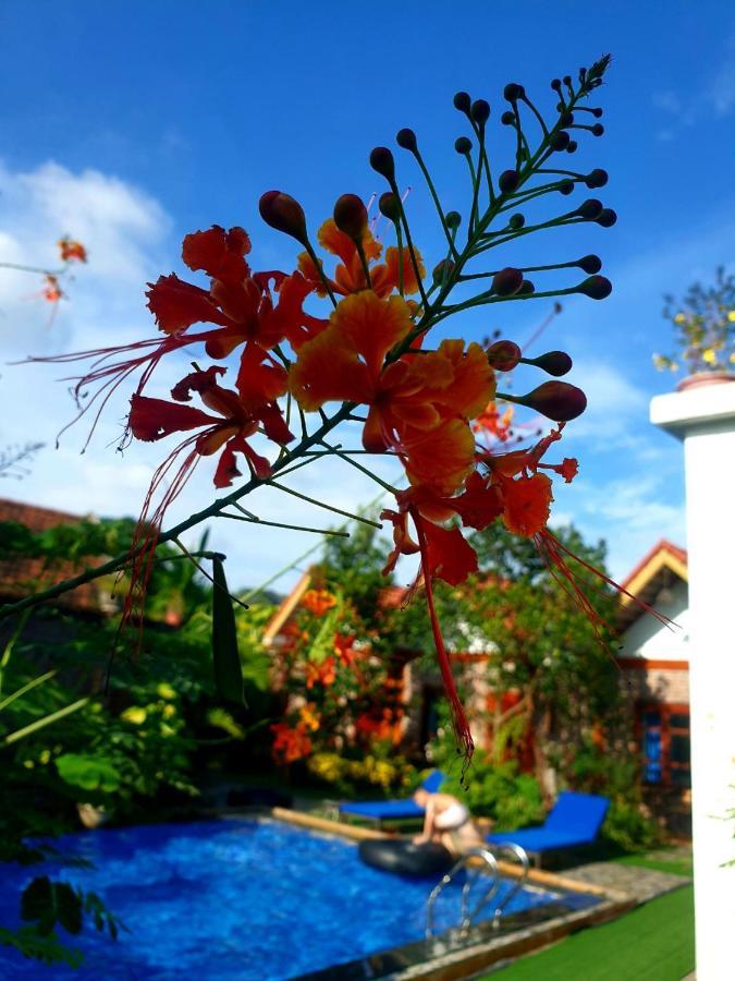 Tamcoc Mr. Cau Homestay Ninh Bình Exteriör bild
